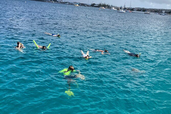Private catamaran sail & snorkel - Exploring the Experience: What to Expect