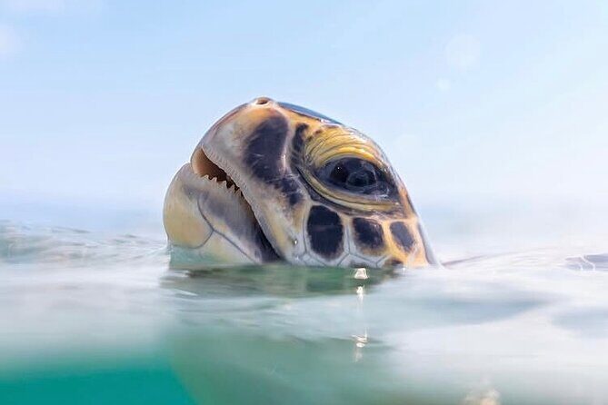 Private catamaran sail & snorkel - Frequently Asked Questions