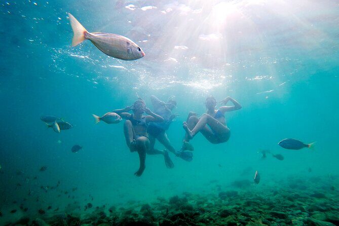 Private Catamaran: Snorkel, Swim and Dolphin Watching - Introduction