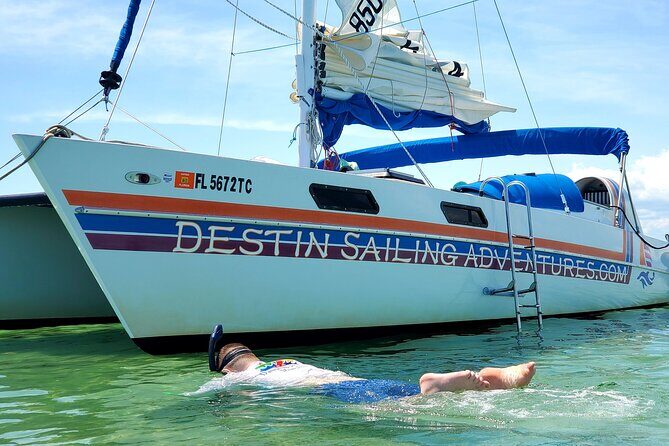 Private Catamaran: Snorkel, Swim and Dolphin Watching - Key Points