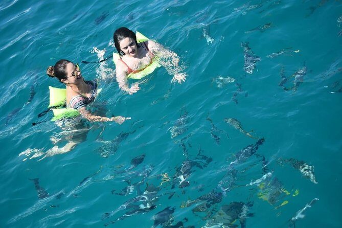 Private Catamaran Snorkeling Cruise in Los Cabos - Final Thoughts: Who Will You Love This For?