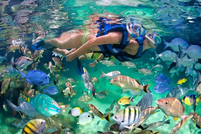 Private Catamaran Snorkeling Family Adventure - Who Would Enjoy This Tour?