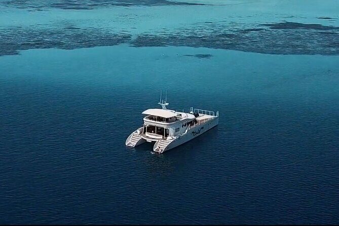 Private Catamaran - Stone Town Islands & Sandbanks (5 hrs) - Practical Details & Tips