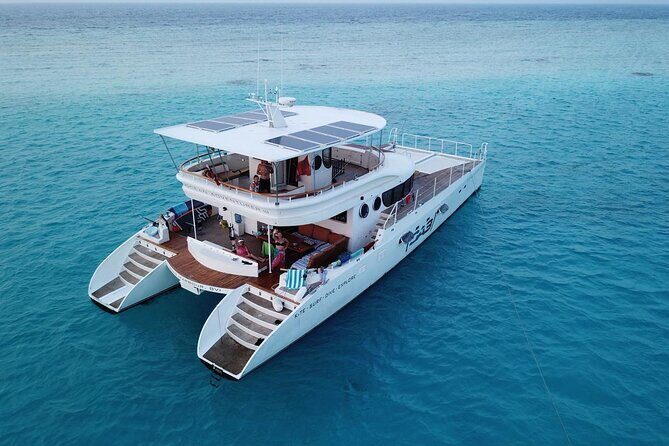 Private Catamaran - Stone Town Islands & Sandbanks (8 hrs) - An In-Depth Look at the Tour