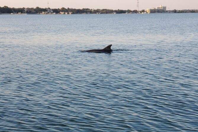 Private Catamaran Sunset Cruise with Dolphin watching - The Practical Details