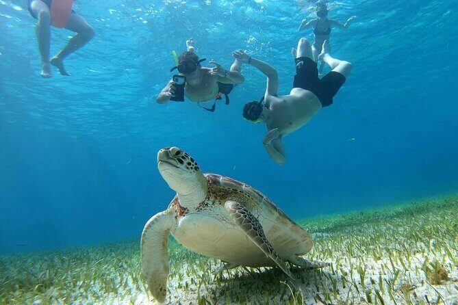 Private Catamaran Tour Charter Custom El Cielo and beach break - Experience a Private Catamaran Tour in Cozumel — An Authentic and Relaxing Day on the Water