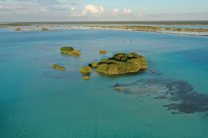 Private Catamaran Tour - The Crew: Guides Who Make the Difference