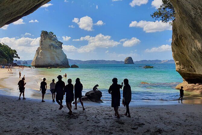 [PRIVATE] Cathedral Cove and Hot Water Beach - Who Should Book This Tour?