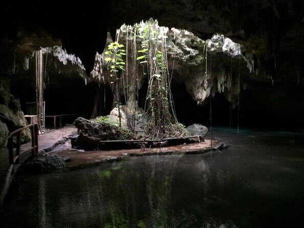 Private Cenote & Cave Playa del Carmen, Mayan Culture & Fossils - Exploring the Private Cenote & Cave Tour in Playa del Carmen: An Authentic Adventure