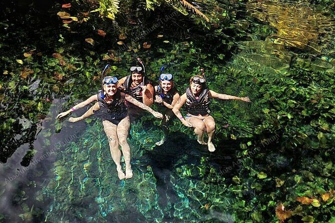 Private Cenote Snorkeling Tour Tulums Hidden Gems - The Itinerary in Detail