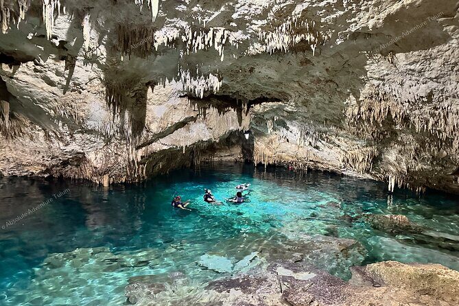 Private Cenote Snorkeling Tour Tulums Hidden Gems - Who Should Book This Tour?