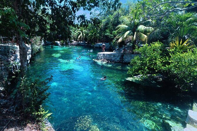 Private Cenotes Adventure in Tulum - Introduction: A Dive into Tulum’s Hidden Natural Gems