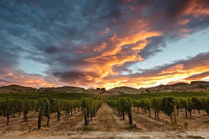 Private Central Otago Wine tasting Tour with Gourmet Lunch. - Who Will Appreciate This Tour?