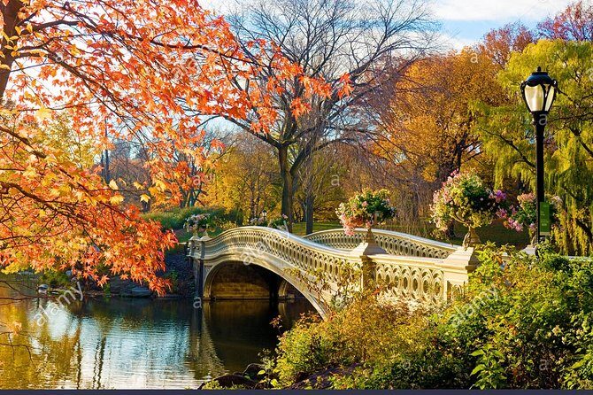 Private Central Park Walking Guided Tour - A Closer Look at What You Can Expect