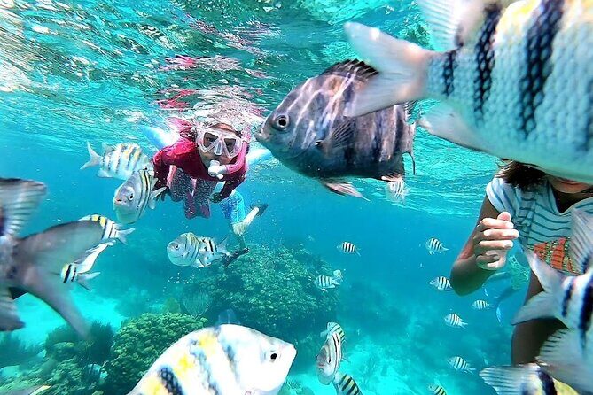 Private Charter 28ft Grady White. Stingrays, Snorkeling, Starfish - Real Guests Impressions
