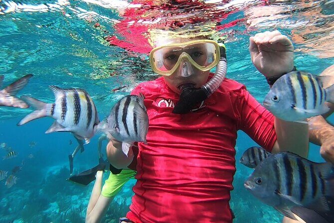 Private Charter 28ft Grady White. Stingrays, Snorkeling, Starfish - Who Should Consider This Tour?