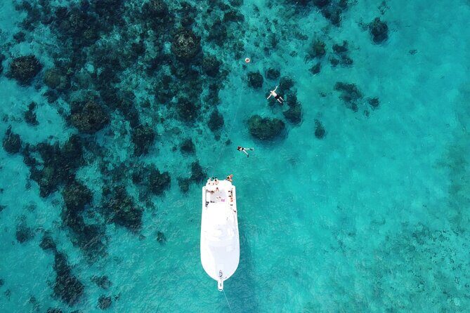 Private Charter 34ft Express Cruiser Stingay City Reef Snorkeling - Authentic Encounters and Expert Guides