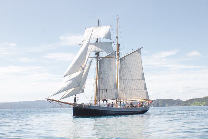 Private Charter Bay of Islands - Final Thoughts: Is It Worth It?