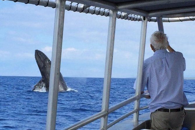 Private Charter: Customizable Big Island Boat Adventure - An Overview of the Experience