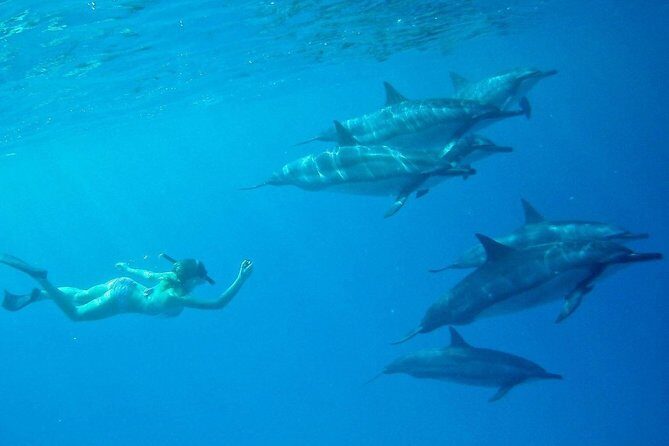 Private Charter: Customizable Big Island Boat Adventure - Who Will Love This Tour?