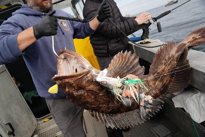 Private Charter Fishing - Full Port Time for Cruise Ship Guests - Key Points
