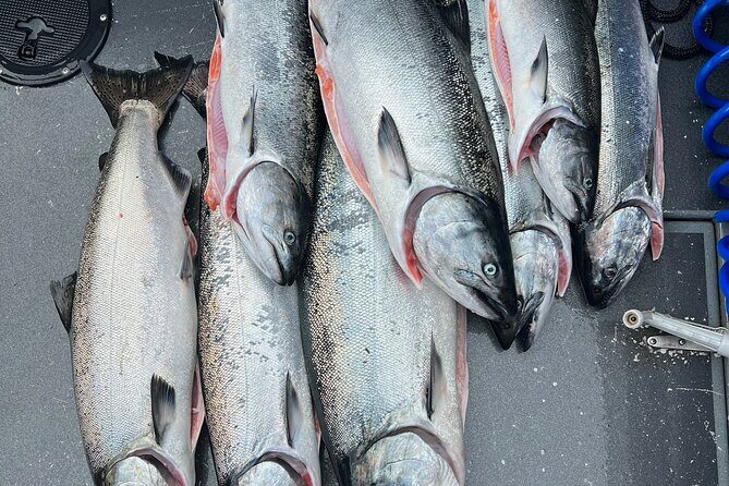 Private Charter Fishing - Full Port Time for Cruise Ship Guests - What Travelers Are Saying