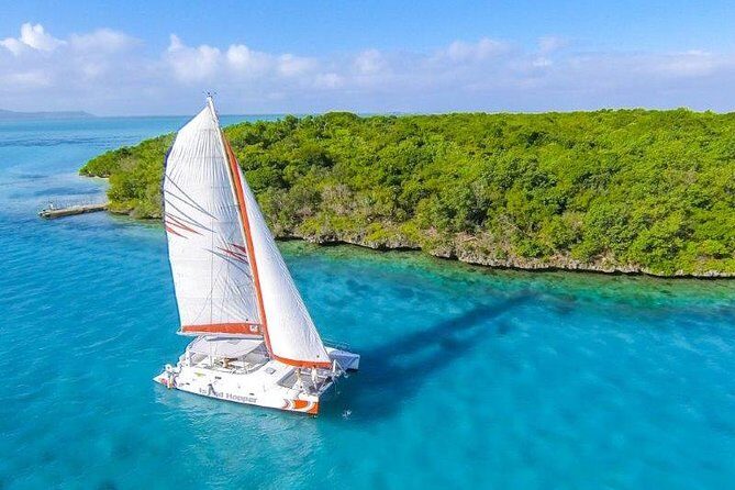 Private Charter Full Day Cruise: Île aux Cerfs - Practical Considerations