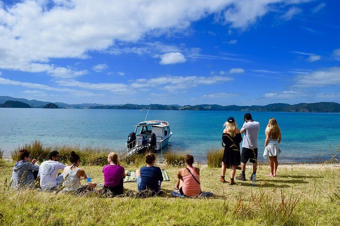 Private Charter: Hole in the Rock Cruise with Island Stopovers - Why choose a private boat tour in the Bay of Islands?