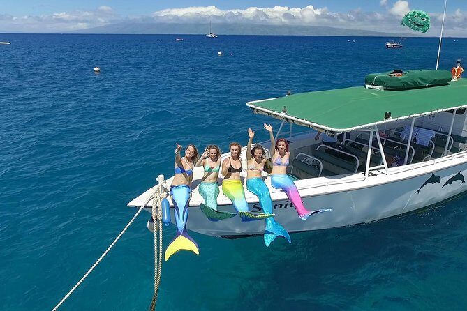 Private Charter Humpback Whale Watching & Dolphin Search - A Closer Look at the Details