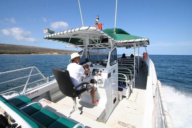 Private Charter Humpback Whale Watching & Dolphin Search - Who Should Consider This Tour?