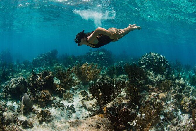 Private Charter Reef fishing, Stingray City, Snorkel, Mangroves - Price and Value Analysis