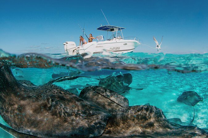 Private Charter Reef fishing, Stingray City, Snorkel, Mangroves - Who Should Book This Tour?