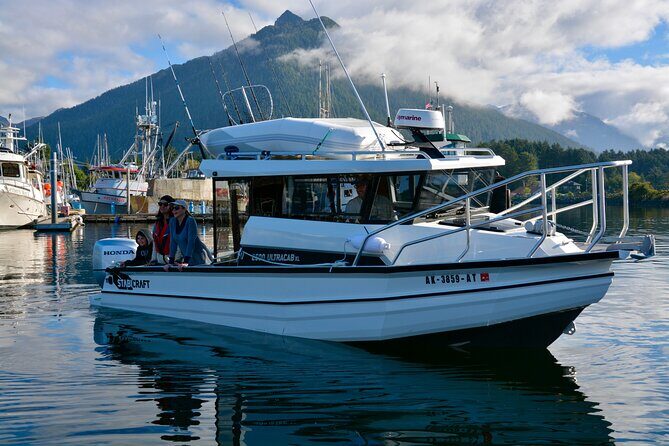 Private Charter Scenic Wildlife Excursion for Cruise Passengers - Practical Details: Transportation, Timing, and Comfort