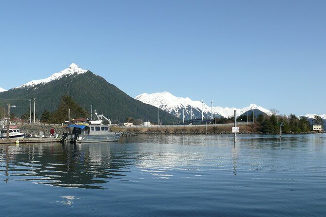 Private Charter Scenic Wildlife Excursion for Cruise Passengers - Who Will Love This Tour?