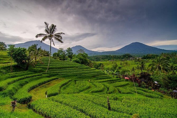 Private Chartered Car to Bali Temples With Besakih Temple - Authentic Experiences and What Sets This Tour Apart