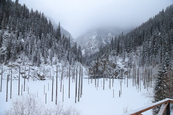 Private Charyn Canyon, Kolsai Lake with Optional Kaindy Lake tour - What You’ll Get and What You Should Know