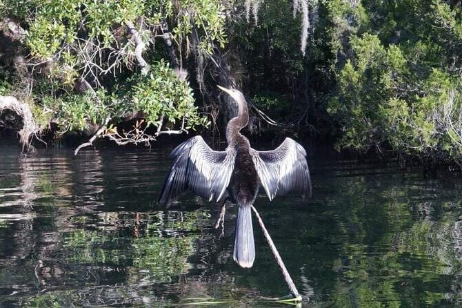 Private Chassahowitzka River Exploration kayak tour - Who Should Book This Tour?