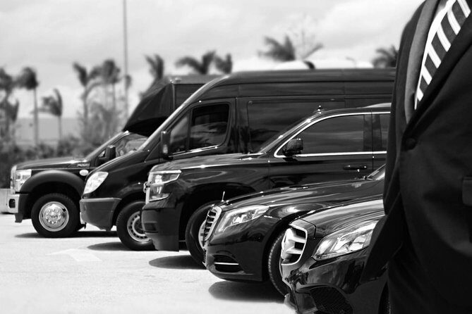 Private chauffeur and minivan for your tours or business needs. - A Practical Look at Beirut’s Private Chauffeur Service