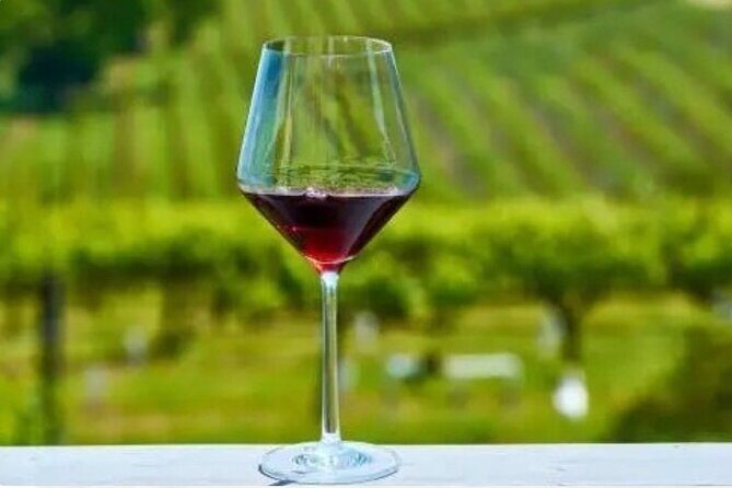 Private Chauffeured Winery Tour - The Sum Up