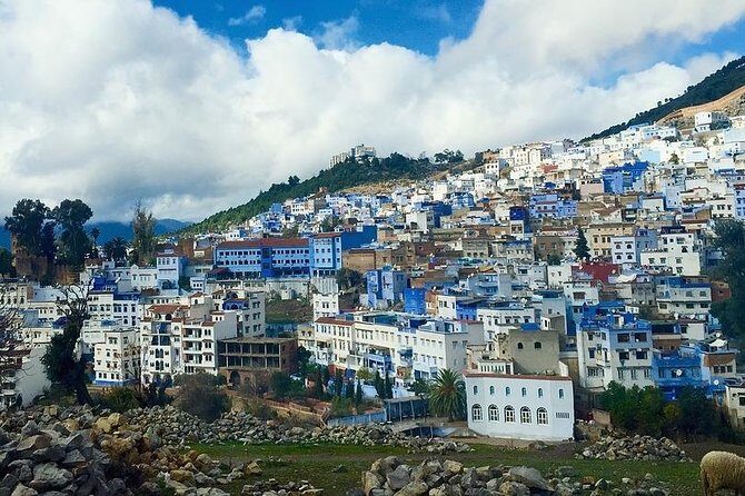 Private Chefchaouen Day Trip From Fez - Transportation & Timing: Why It Matters