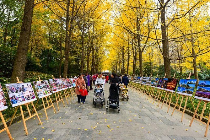 Private Chengdu Impression Day Tour including Panda Base - Practical Details: What This Tour Means for Travelers
