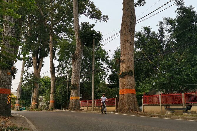 Private Chiang Mai Half-Day Bike Tour - An Introduction to the Experience
