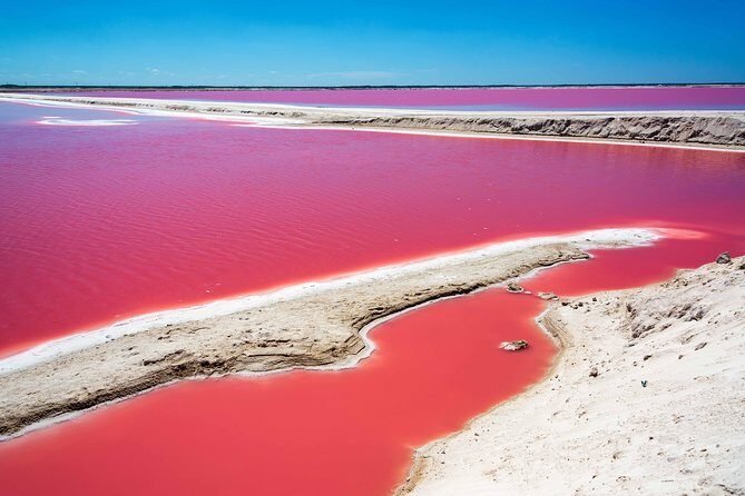 Private Chichen Itza, Cenote Ik Kil, Rio Lagartos & Las Coloradas - What Makes This Tour Stand Out?