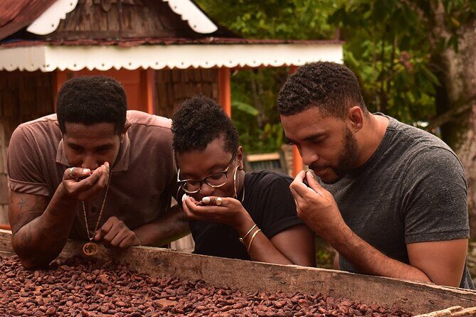 Private Chocolate Making Class - Key Points