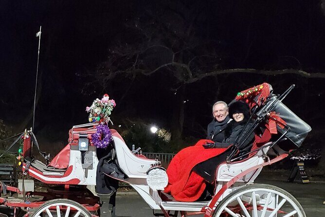 Private Christmas Lights Horse Carriage Tour In New York City - A Closer Look at the Tour Itinerary