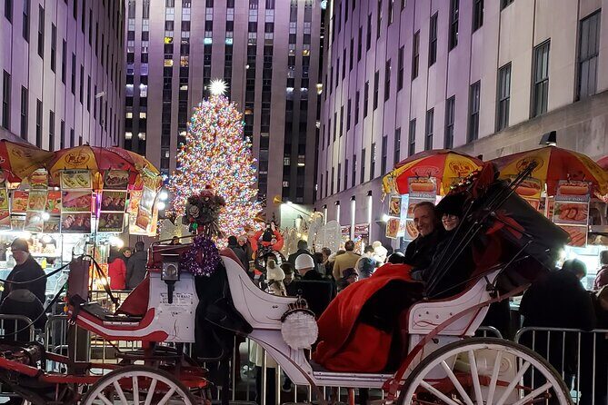Private Christmas Lights Horse Carriage Tour In New York City - Analyzing the Cost and Overall Value