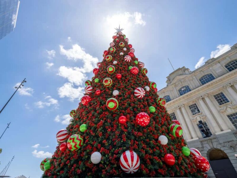 Private Christmas Walking Tour in Auckland City Lights - Why This Tour Stands Out