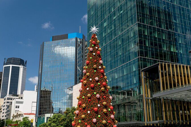Private Christmas Walking Tour in Auckland City Lights - Practical Tips for Travelers