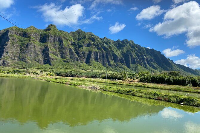 Private Circle Island Off-the-Beaten- Oahu Tour - The Detailed Breakdown: What to Expect from the Private Off-the-Beaten-Path Tour