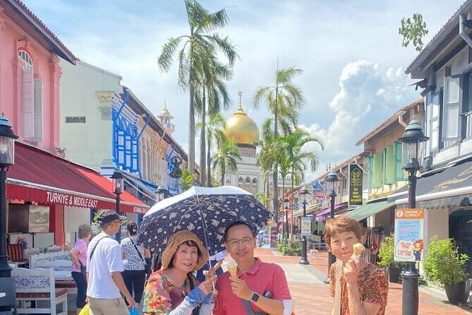 Private City Car Tour Singapore (4 Hours or 8 Hours) - Key Points